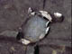 FileNo.021-010.jpg