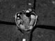 FileNo.021-015.jpg