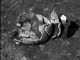 FileNo.021-018.jpg