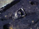 FileNo.021-021.jpg