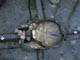 FileNo.021-022.jpg