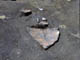 FileNo.021-024.jpg