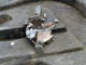 FileNo.021-025.jpg