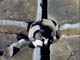 FileNo.021-026.jpg