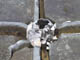 FileNo.021-027.jpg