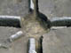 FileNo.021-028.jpg