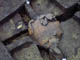 FileNo.021-030.jpg