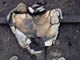 FileNo.021-031.jpg