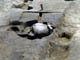 FileNo.021-034.jpg