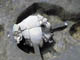 FileNo.021-035.jpg
