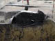 FileNo.021-036.jpg