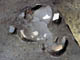 FileNo.021-037.jpg