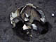 FileNo.021-038.jpg