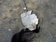 FileNo.021-041.jpg