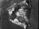 FileNo.021-042.jpg
