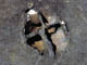 FileNo.021-043.jpg