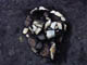 FileNo.021-044.jpg