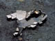 FileNo.021-045.jpg