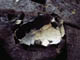 FileNo.021-046.jpg