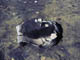 FileNo.021-047.jpg
