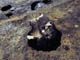 FileNo.021-048.jpg