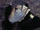 FileNo.021-049.jpg
