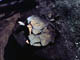 FileNo.021-050.jpg