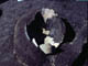 FileNo.021-053.jpg