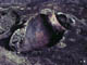 FileNo.021-056.jpg