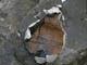 FileNo.021-058.jpg