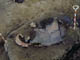 FileNo.021-059.jpg