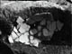 FileNo.021-062.jpg