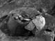 FileNo.021-063.jpg