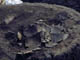 FileNo.021-064.jpg