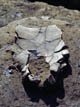 FileNo.021-066.jpg