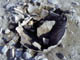 FileNo.021-073.jpg