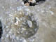 FileNo.021-074.jpg