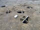 FileNo.021-075.jpg