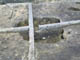 FileNo.021-083.jpg