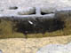 FileNo.021-090.jpg