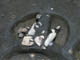 FileNo.021-097.jpg