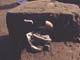 FileNo.021-098.jpg