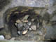 FileNo.021-104.jpg