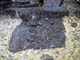FileNo.021-106.jpg