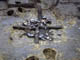 FileNo.021-108.jpg