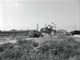 FileNo.022b-003.jpg