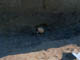 FileNo.023-003.jpg