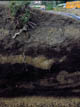 FileNo.024-005.jpg