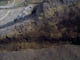 FileNo.024-006.jpg