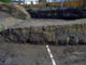 FileNo.024-008.jpg
